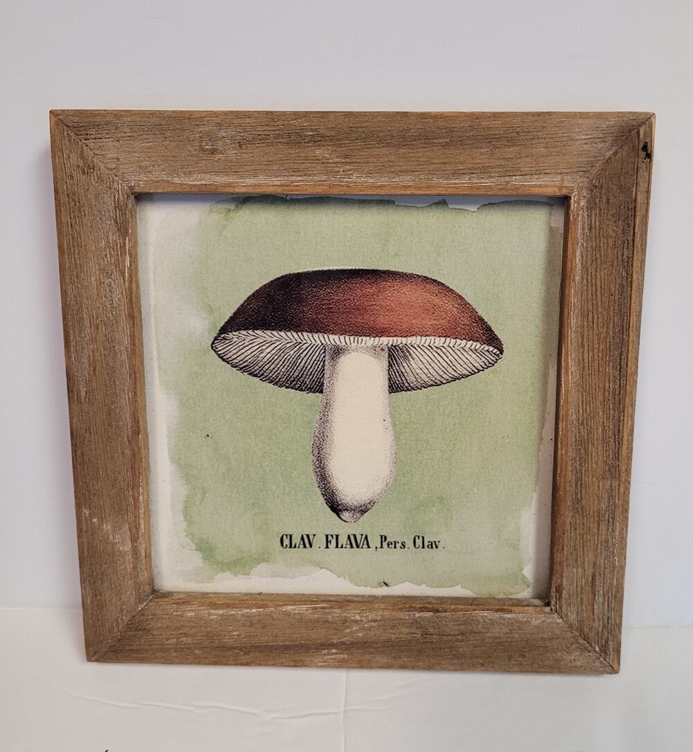 Creative Co-op Mushroom Framed Art 6" Square CLAV FLAVA, Pers. Clav. Fungi Retro